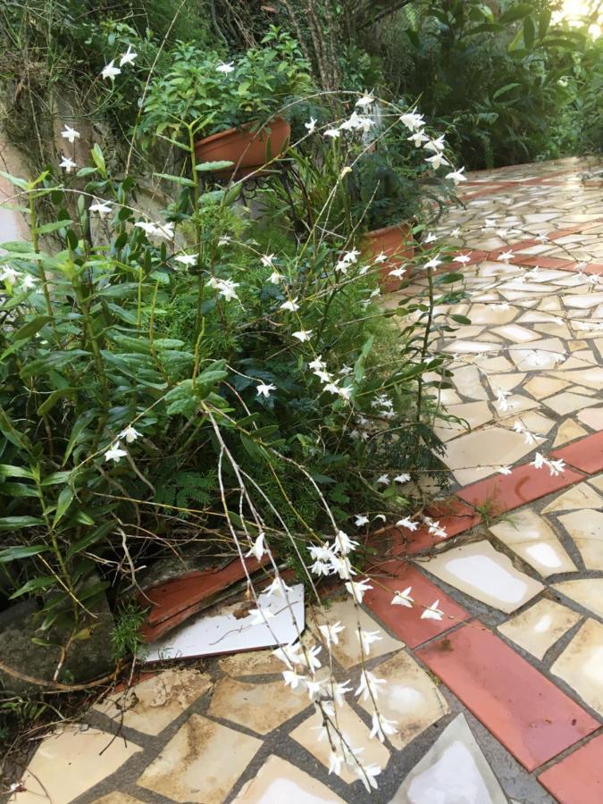 La Siguine Villa Gourbeyre ภายนอก รูปภาพ