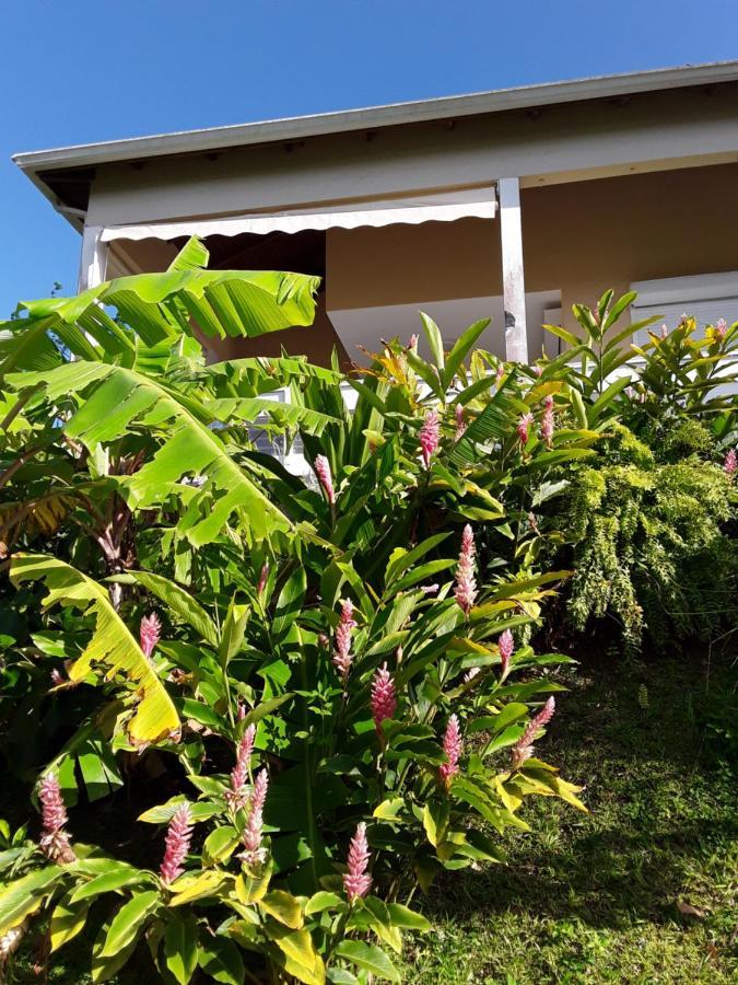 La Siguine Villa Gourbeyre ภายนอก รูปภาพ