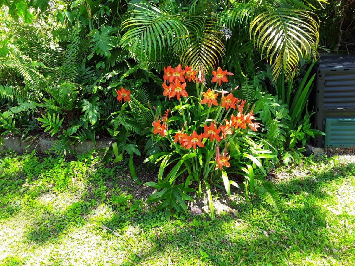 La Siguine Villa Gourbeyre ภายนอก รูปภาพ