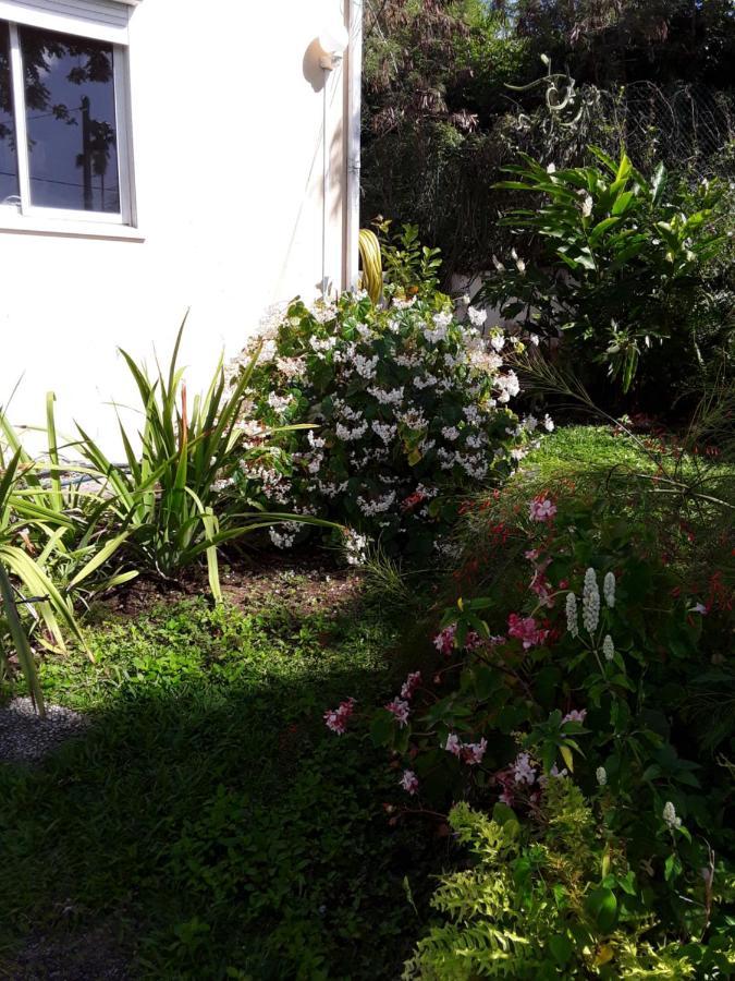 La Siguine Villa Gourbeyre ภายนอก รูปภาพ