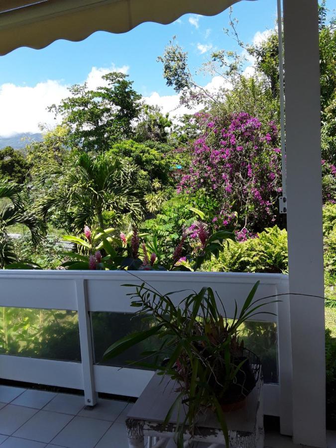 La Siguine Villa Gourbeyre ภายนอก รูปภาพ