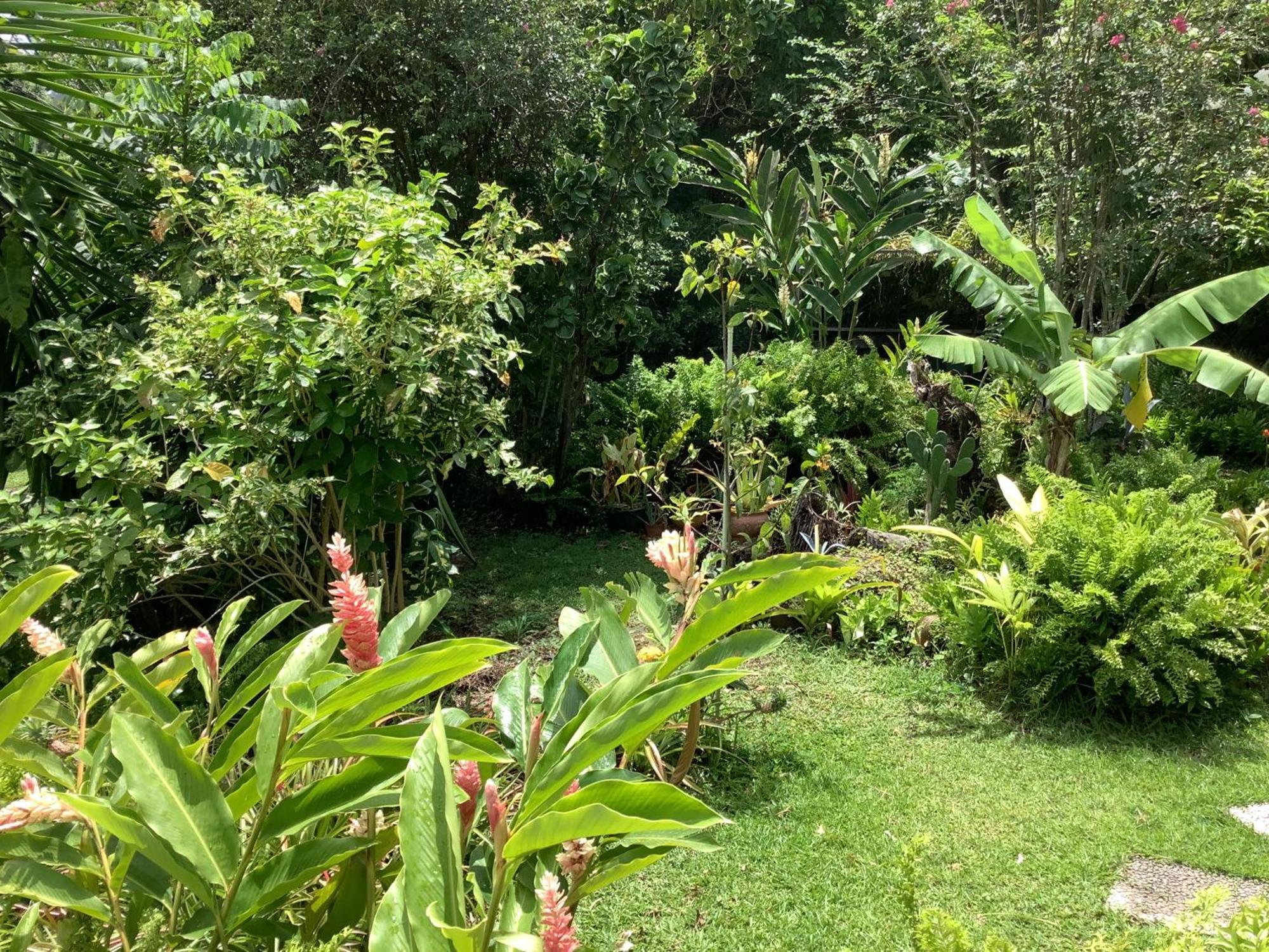 La Siguine Villa Gourbeyre ภายนอก รูปภาพ
